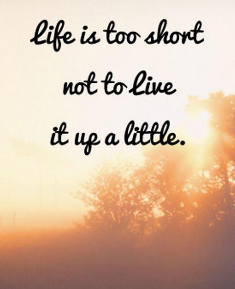Life is too short not to live it up a little! Picture Quote #1