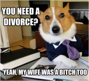 You need a divorce? Yeah, my wife was a bitch too Picture Quote #1