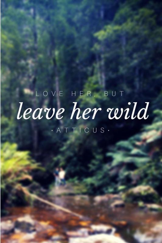 Love her, but leave her wild Picture Quote #2