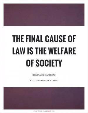 The final cause of law is the welfare of society Picture Quote #1