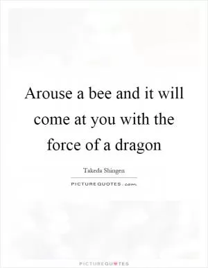 Arouse a bee and it will come at you with the force of a dragon Picture Quote #1