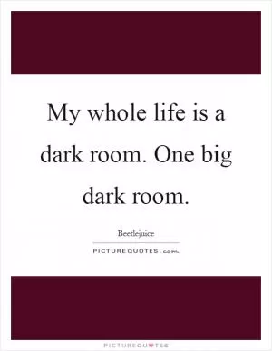My whole life is a dark room. One big dark room Picture Quote #1