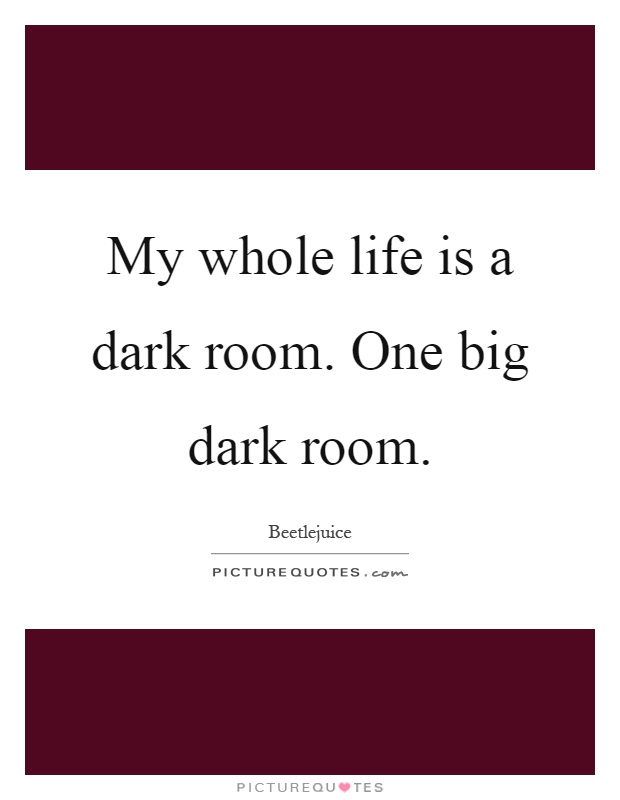 My whole life is a dark room. One big dark room Picture Quote #1
