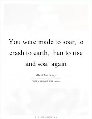 You were made to soar, to crash to earth, then to rise and soar again Picture Quote #1
