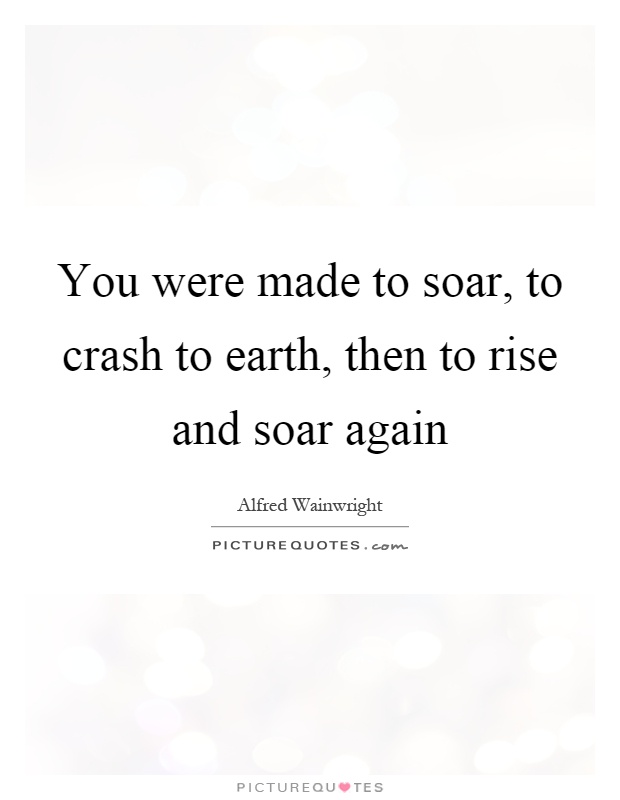 You were made to soar, to crash to earth, then to rise and soar again Picture Quote #1