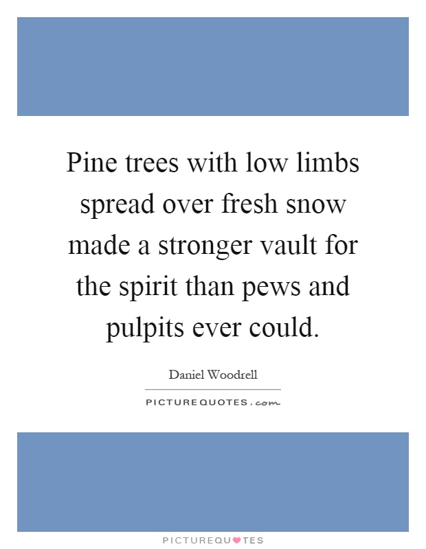 Pine trees with low limbs spread over fresh snow made a stronger vault for the spirit than pews and pulpits ever could Picture Quote #1