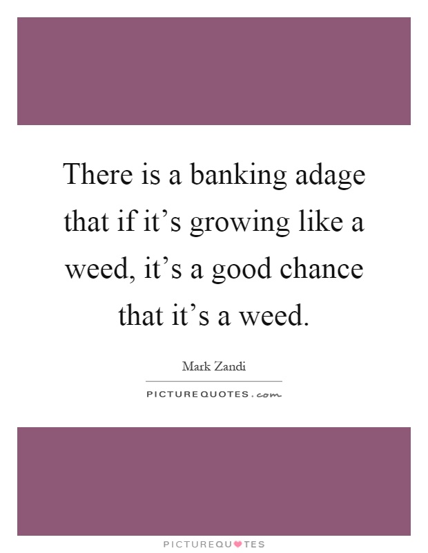 There is a banking adage that if it's growing like a weed, it's a good chance that it's a weed Picture Quote #1