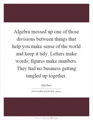 Algebra messed up one of those divisions between things that help you make sense of the world and keep it tidy. Letters make words; figures make numbers. They had no business getting tangled up together Picture Quote #1