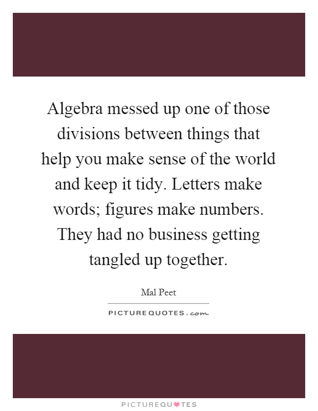 Algebra messed up one of those divisions between things that help you make sense of the world and keep it tidy. Letters make words; figures make numbers. They had no business getting tangled up together Picture Quote #1
