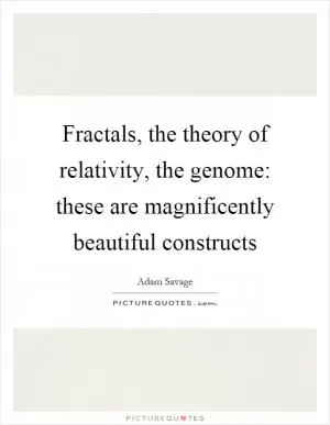 Fractals, the theory of relativity, the genome: these are magnificently beautiful constructs Picture Quote #1