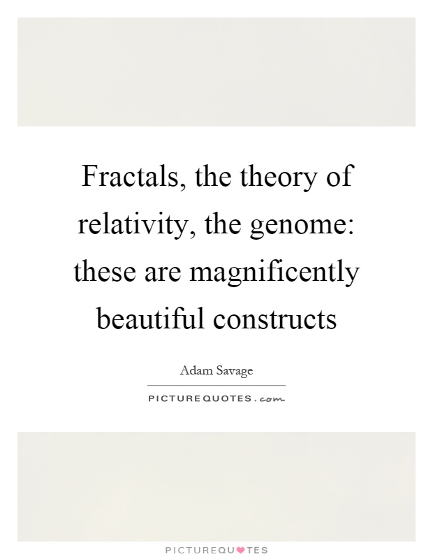 Fractals, the theory of relativity, the genome: these are magnificently beautiful constructs Picture Quote #1