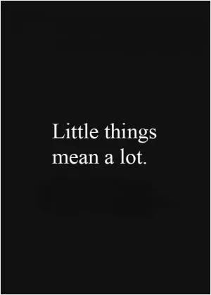 Little things mean a lot Picture Quote #1