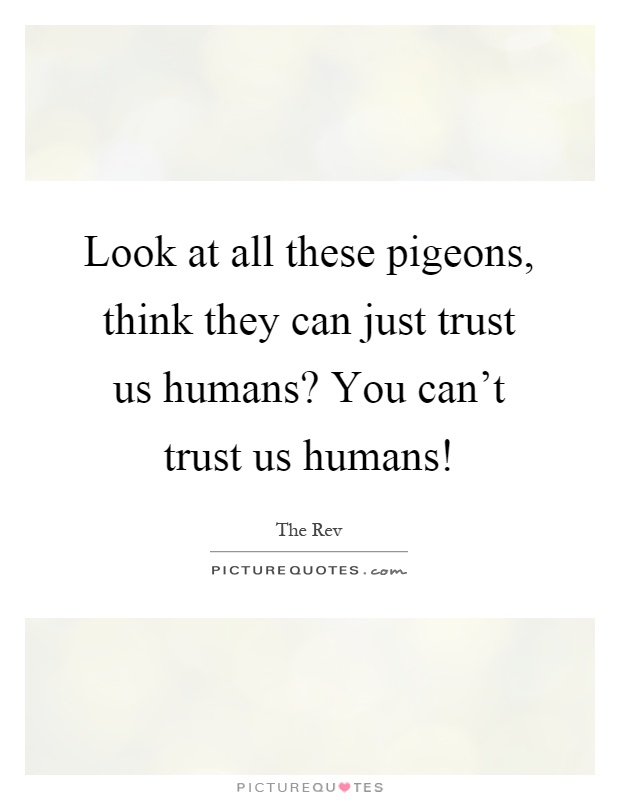 Look at all these pigeons, think they can just trust us humans? You can't trust us humans! Picture Quote #1