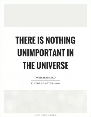 There is nothing unimportant in the universe Picture Quote #1