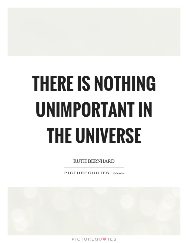 There is nothing unimportant in the universe Picture Quote #1