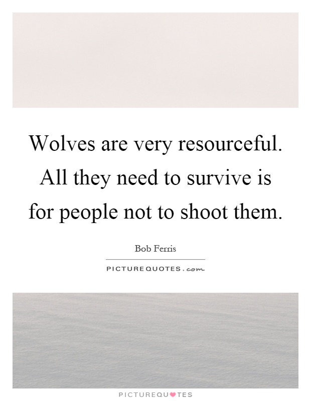 Wolves are very resourceful. All they need to survive is for people not to shoot them Picture Quote #1
