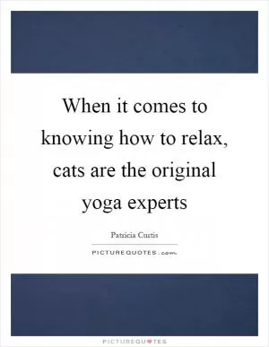 When it comes to knowing how to relax, cats are the original yoga experts Picture Quote #1