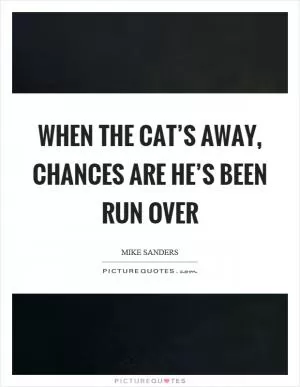 When the cat’s away, chances are he’s been run over Picture Quote #1
