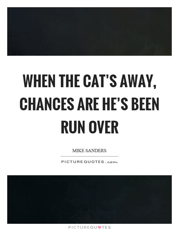 When the cat's away, chances are he's been run over Picture Quote #1