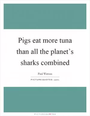 Pigs eat more tuna than all the planet’s sharks combined Picture Quote #1
