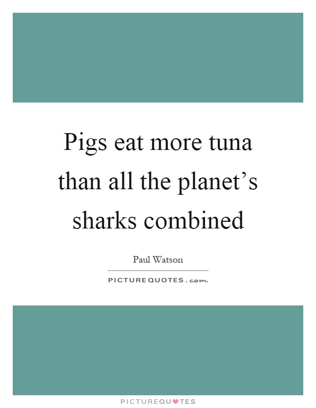 Pigs eat more tuna than all the planet's sharks combined Picture Quote #1
