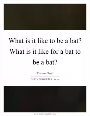 What is it like to be a bat? What is it like for a bat to be a bat? Picture Quote #1