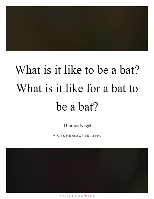 What is it like to be a bat? What is it like for a bat to be a bat? Picture Quote #1