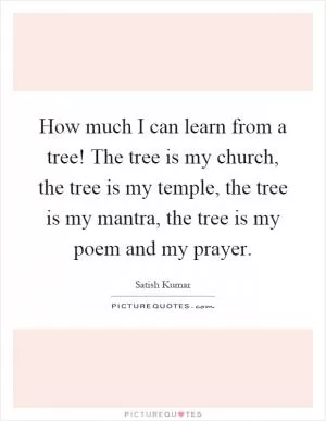 How much I can learn from a tree! The tree is my church, the tree is my temple, the tree is my mantra, the tree is my poem and my prayer Picture Quote #1
