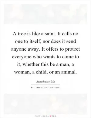 A tree is like a saint. It calls no one to itself, nor does it send anyone away. It offers to protect everyone who wants to come to it, whether this be a man, a woman, a child, or an animal Picture Quote #1