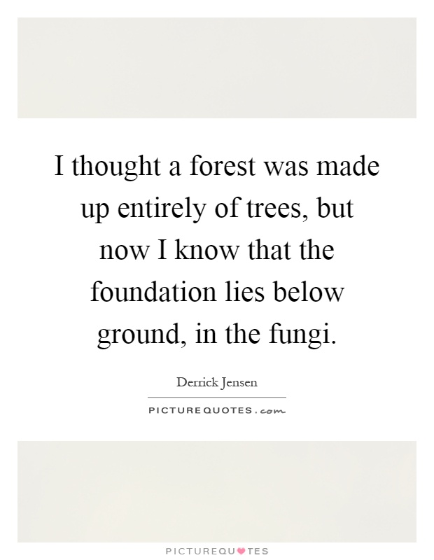 I thought a forest was made up entirely of trees, but now I know that the foundation lies below ground, in the fungi Picture Quote #1