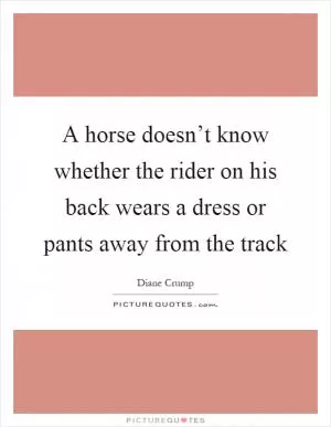 A horse doesn’t know whether the rider on his back wears a dress or pants away from the track Picture Quote #1