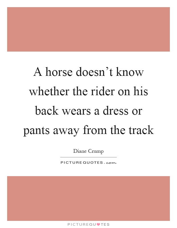 A horse doesn't know whether the rider on his back wears a dress or pants away from the track Picture Quote #1