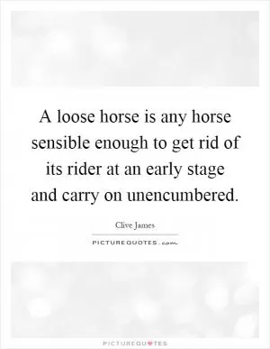 A loose horse is any horse sensible enough to get rid of its rider at an early stage and carry on unencumbered Picture Quote #1