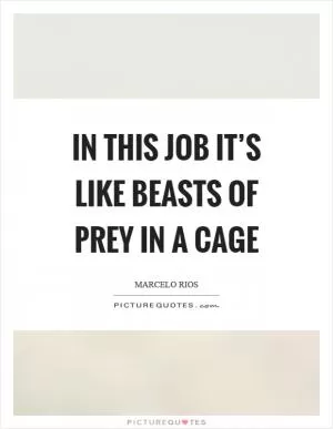 In this job it’s like beasts of prey in a cage Picture Quote #1