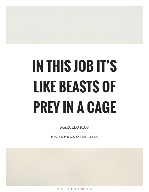In this job it's like beasts of prey in a cage Picture Quote #1
