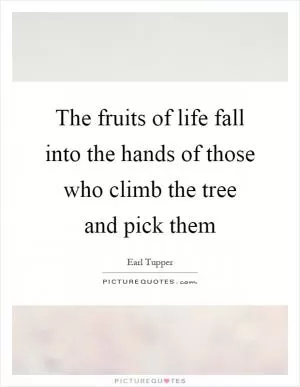 The fruits of life fall into the hands of those who climb the tree and pick them Picture Quote #1