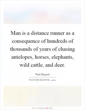 Man is a distance runner as a consequence of hundreds of thousands of years of chasing antelopes, horses, elephants, wild cattle, and deer Picture Quote #1