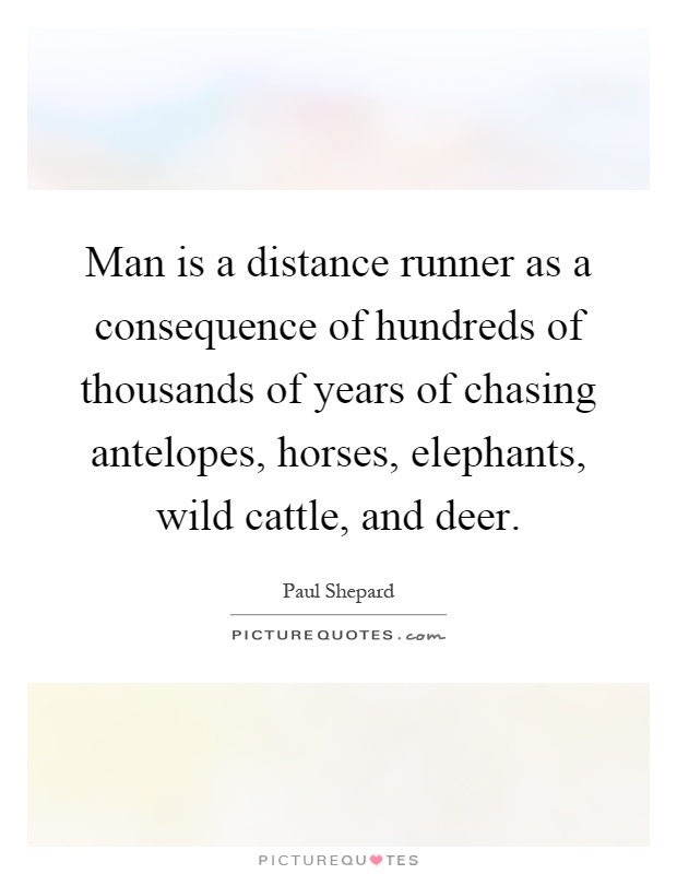 Man is a distance runner as a consequence of hundreds of thousands of years of chasing antelopes, horses, elephants, wild cattle, and deer Picture Quote #1
