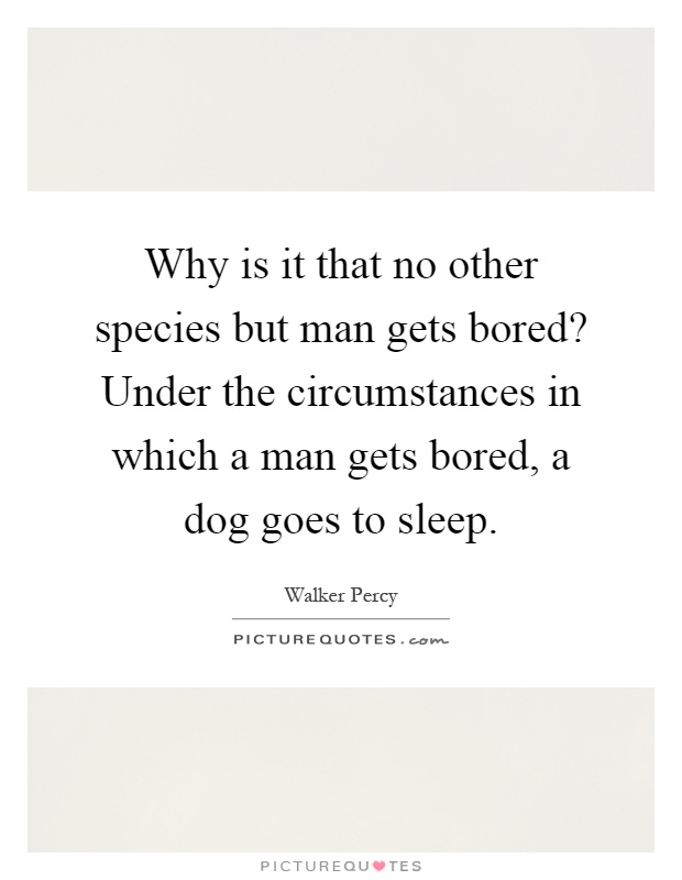 Why is it that no other species but man gets bored? Under the circumstances in which a man gets bored, a dog goes to sleep Picture Quote #1