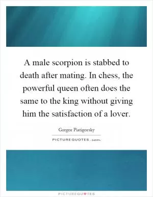 A male scorpion is stabbed to death after mating. In chess, the powerful queen often does the same to the king without giving him the satisfaction of a lover Picture Quote #1