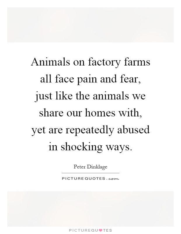 Animals on factory farms all face pain and fear, just like the animals we share our homes with, yet are repeatedly abused in shocking ways Picture Quote #1