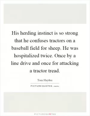 His herding instinct is so strong that he confuses tractors on a baseball field for sheep. He was hospitalized twice. Once by a line drive and once for attacking a tractor tread Picture Quote #1
