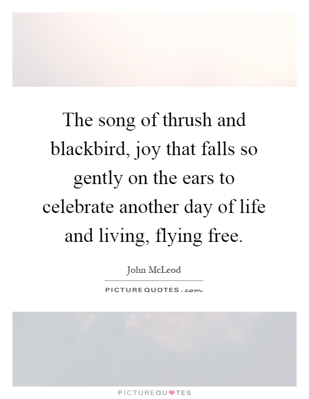 The song of thrush and blackbird, joy that falls so gently on the ears to celebrate another day of life and living, flying free Picture Quote #1