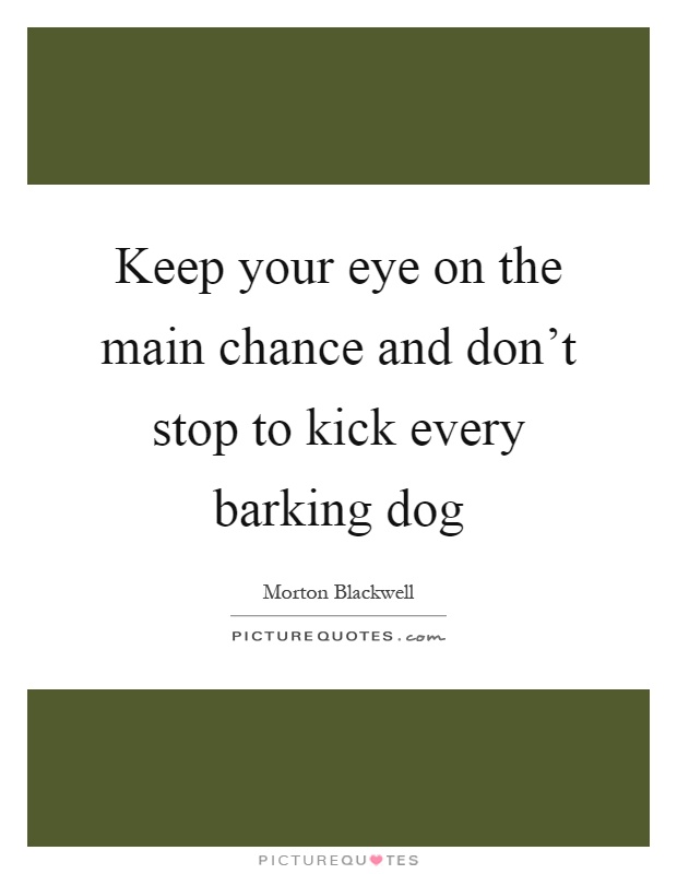 Keep your eye on the main chance and don't stop to kick every barking dog Picture Quote #1