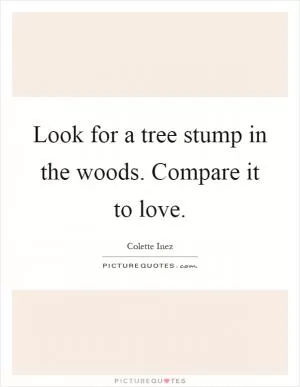 Look for a tree stump in the woods. Compare it to love Picture Quote #1
