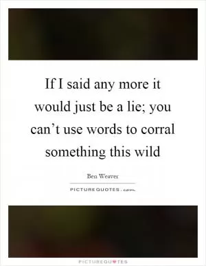 If I said any more it would just be a lie; you can’t use words to corral something this wild Picture Quote #1