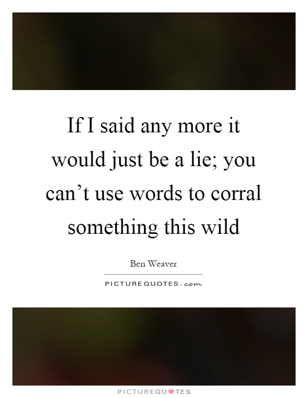 If I said any more it would just be a lie; you can't use words to corral something this wild Picture Quote #1
