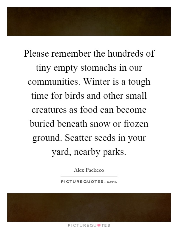 Please remember the hundreds of tiny empty stomachs in our communities. Winter is a tough time for birds and other small creatures as food can become buried beneath snow or frozen ground. Scatter seeds in your yard, nearby parks Picture Quote #1