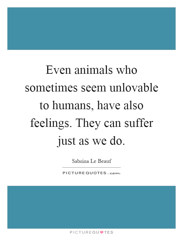 Even animals who sometimes seem unlovable to humans, have also feelings. They can suffer just as we do Picture Quote #1