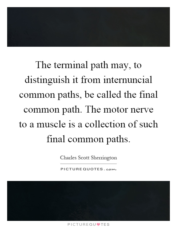The terminal path may, to distinguish it from internuncial common paths, be called the final common path. The motor nerve to a muscle is a collection of such final common paths Picture Quote #1